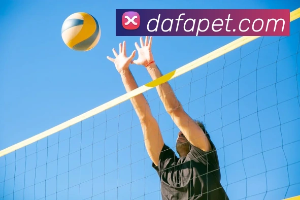 大发彩票官网平台生态图